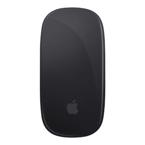 Apple Magic Mouse 2 - Grå